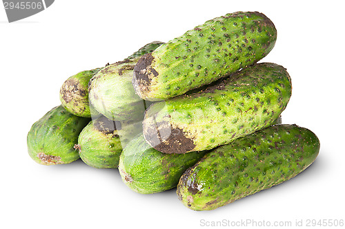 Image of Fresh Dirty Cucumbers