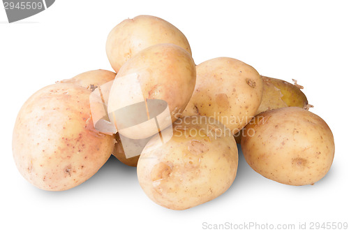 Image of The New Potato