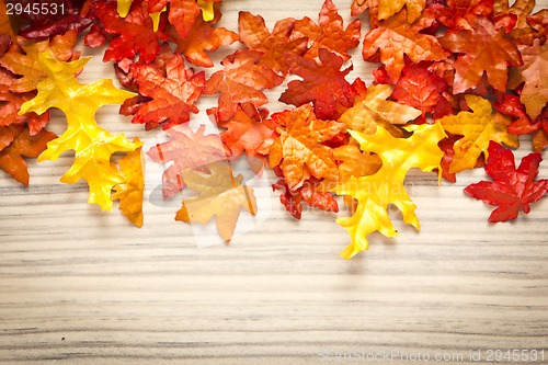 Image of foliage, autumn leaves