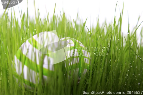 Image of easter eggs green