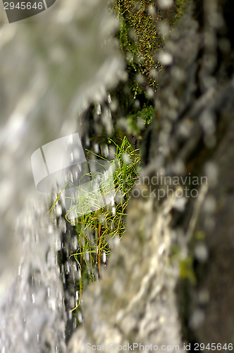 Image of Well