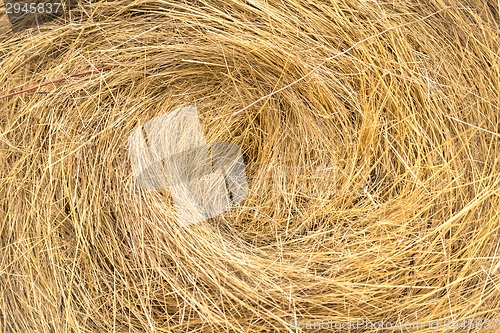 Image of Hay bails on the field