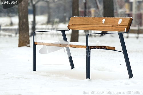 Image of Stylish bench in winter park