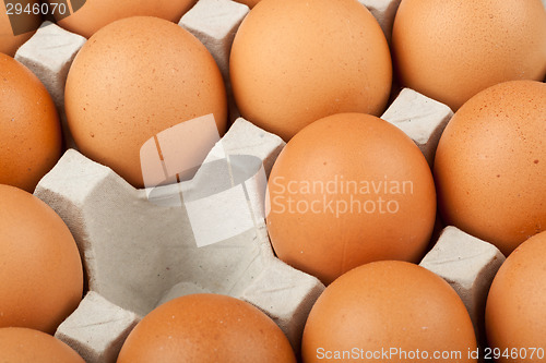 Image of Missing chicken egg