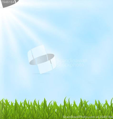 Image of Summer background with green field and sky