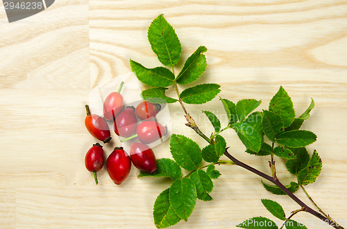 Image of Rosehip berries with green leaves