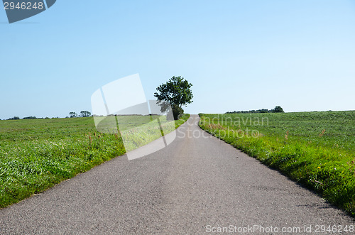 Image of Country road through green fields