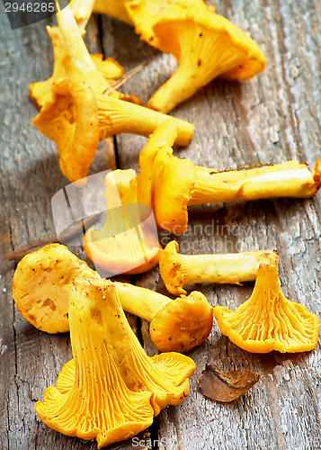 Image of Fresh Raw Chanterelles 