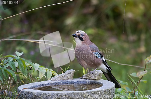 Image of a bath maybe