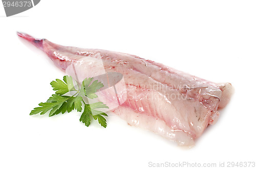 Image of monkfish