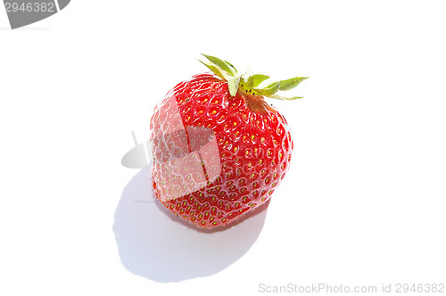 Image of Strawberry