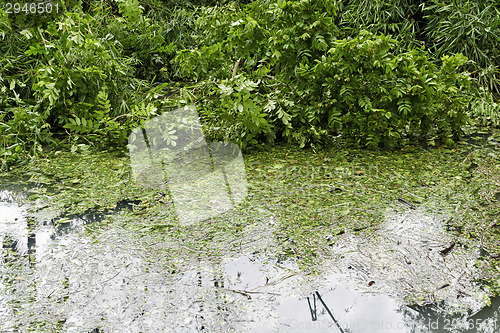 Image of Dirty Swimming Pool