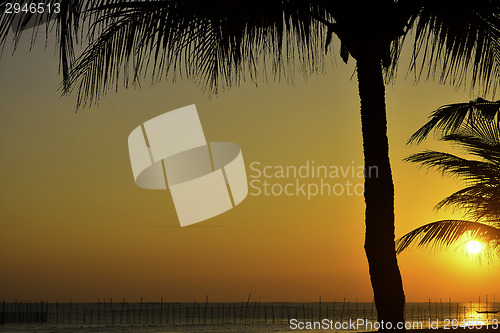 Image of Fiery Beach Sunset