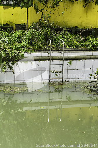 Image of Dirty Swimming Pool