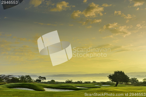 Image of Golf Greens