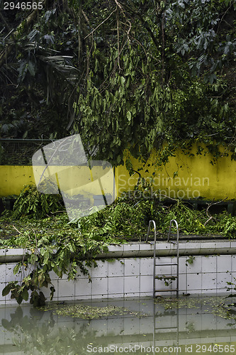 Image of Dirty Swimming Pool