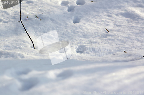 Image of Footprints