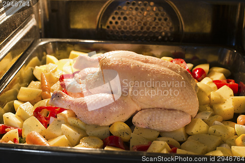 Image of Chicken