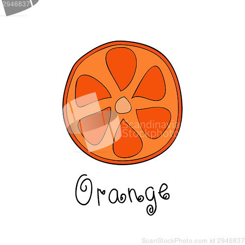 Image of Doodle grapefruit slice