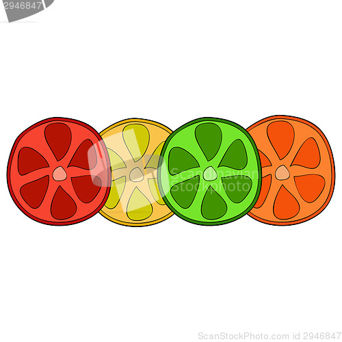 Image of Bright citrus slices