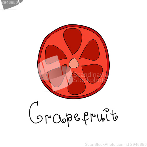 Image of Doodle grapefruit slice