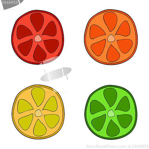 Image of Doodle style citrus slices
