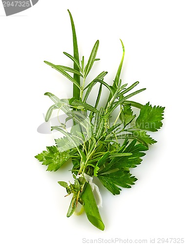 Image of bunch of green herbs