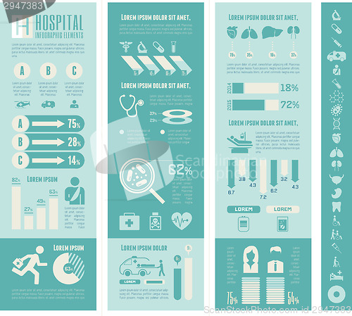 Image of Maternity Infographic Template.