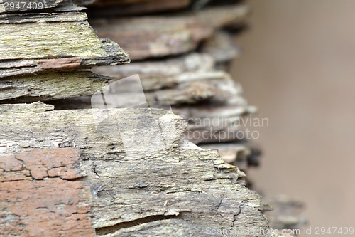 Image of Old wood texture. Floor surface