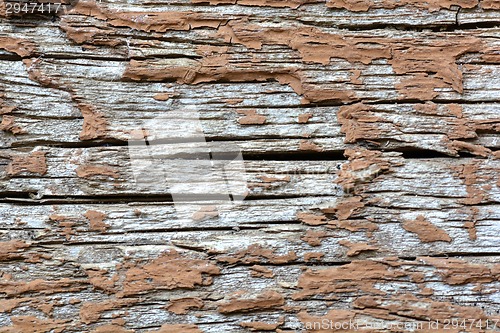 Image of wood texture. background old panels