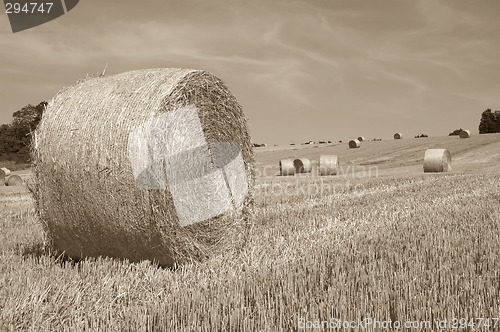 Image of Hay bales