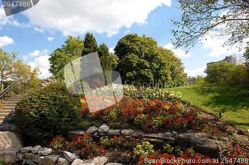 Image of Park in Hamilton Canada.