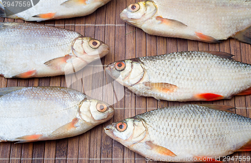 Image of Fish hooked in the river on a table surface.