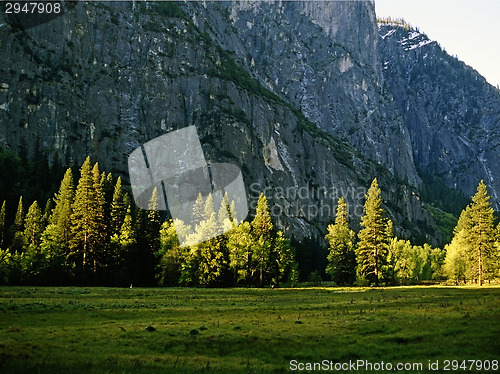 Image of Yosemite National Park