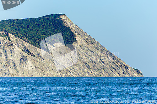 Image of Rock