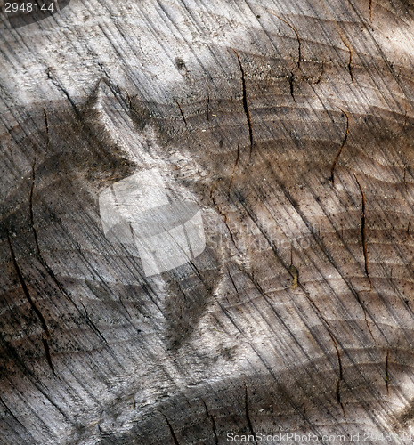 Image of  Cracked wood