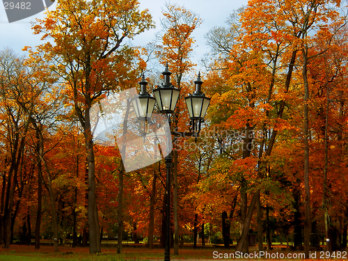 Image of Park in autumn