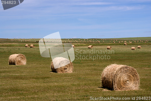 Image of Rural landscape of Canada