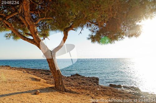 Image of Coastline