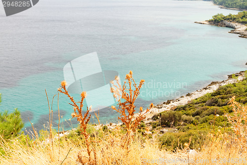 Image of Coastline