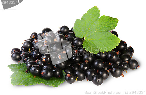 Image of Bunch Of Black Currant With Two Leafs