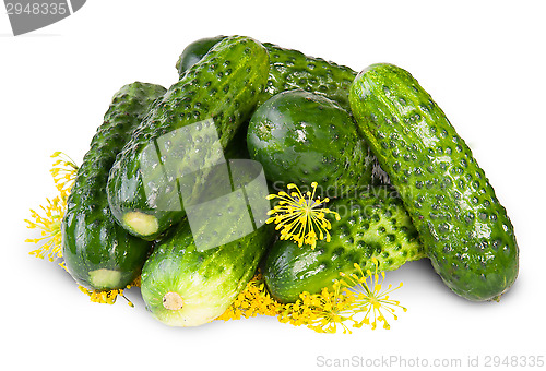 Image of Fresh Cucumbers And Dill