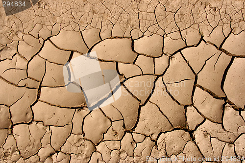 Image of Desert background