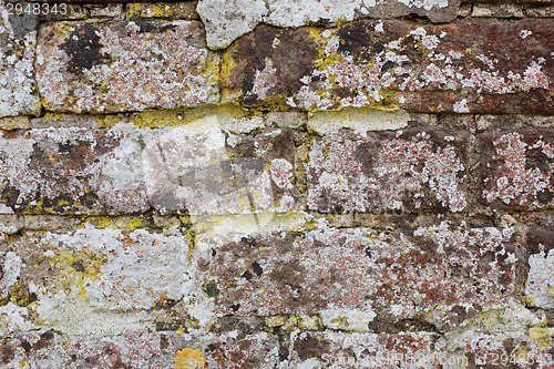 Image of Weathered brick wall covered in lichen 