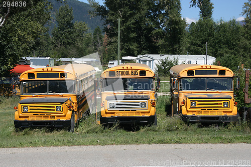 Image of Old school buses