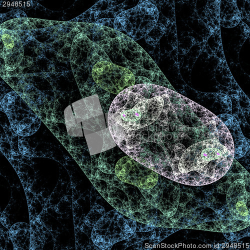 Image of Symmetrical growth of bacteria