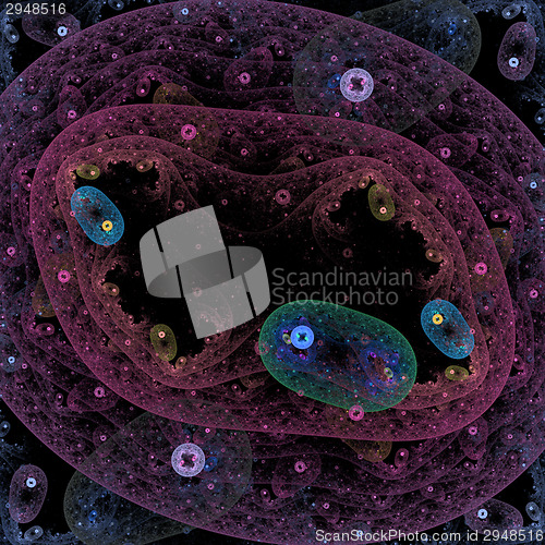 Image of Symmetrical growth of bacteria