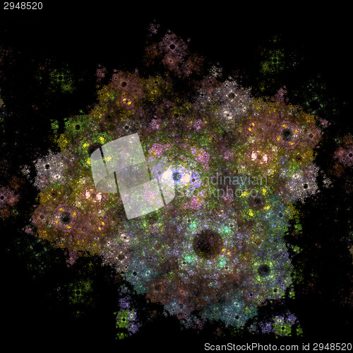 Image of Symmetrical growth of bacteria