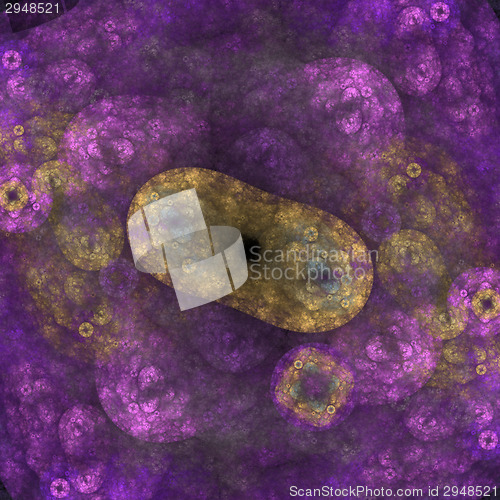 Image of Symmetrical growth of bacteria