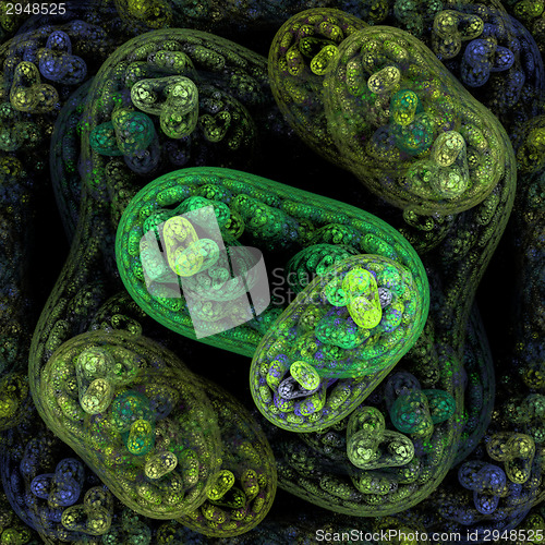 Image of Symmetrical growth of bacteria